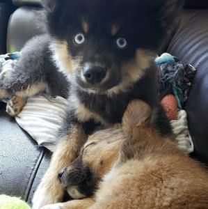 Meet your Posher, Leah